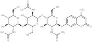 4-Methylumbelliferyl-β-D-N,N',N''-Triacetylchitotrioside