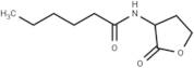 N-hexanoyl-DL-Homoserine lactone