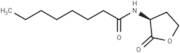 N-octanoyl-L-Homoserine lactone