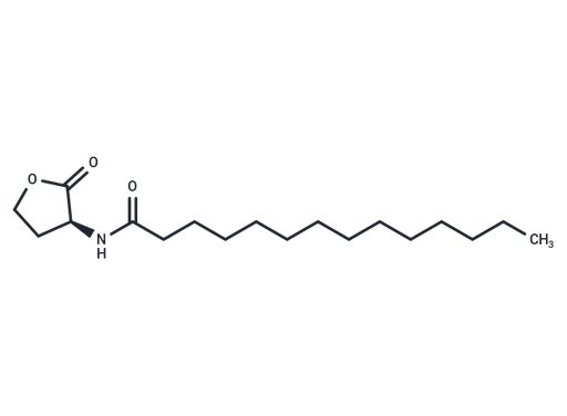 N-tetradecanoyl-L-Homoserine lactone