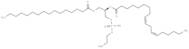 1-Palmitoyl-2-linoleoyl PE