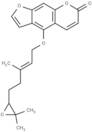 6',7'-Epoxybergamottin