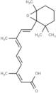 5,6-epoxy-13-cis Retinoic Acid