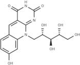 Coenzyme FO