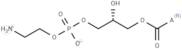 Lysophosphatidylethanolamines (egg)