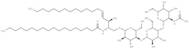 Ganglioside GM2 Asialo Mixture