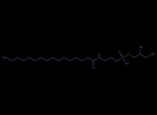 Glycerophospho-N-Palmitoyl Ethanolamine