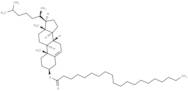 Cholesteryl Arachidate