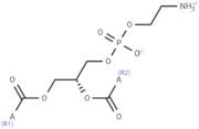 Phosphatidylethanolamine from bovine