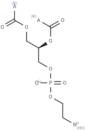 Phosphatidylethanolamines (soy)