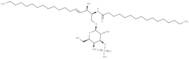 C16 3'-sulfo Galactosylceramide (d18:1/16:0)