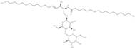 C17 Lactosylceramide (d18:1/17:0)