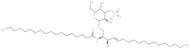 C18 3'-sulfo Galactosylceramide (d18:1/18:0)