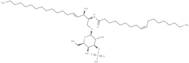 C18:1 3'-sulfo Galactosylceramide (d18:1/18:1(9Z))