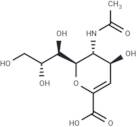 2,3-Dehydro-2-deoxy-N-acetylneuraminic acid