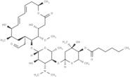 Leucomycin A13