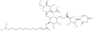 Tunicamycin V