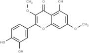 Quercetin 3,7-dimethyl ether