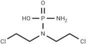 Phosphoramide mustard