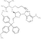 N6-Methyl-dA phosphoramidite