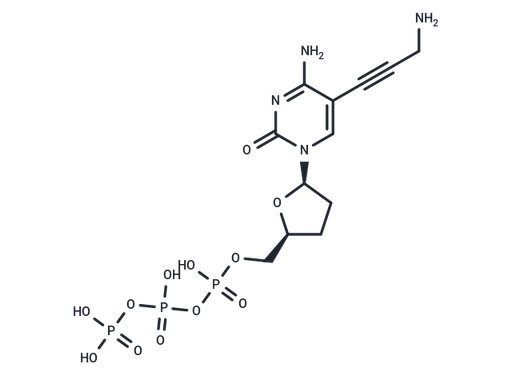 5-Propargylamino-ddCTP