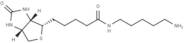 5-(Biotinamido)pentylamine