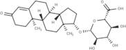 Testosterone glucuronide