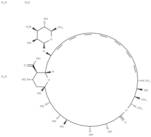 Amphotericin B trihydrate