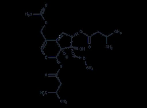 Valeriandoid F