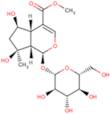 Shanzhiside methyl ester