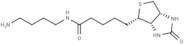 Biotin-C4-amide-C5-NH2