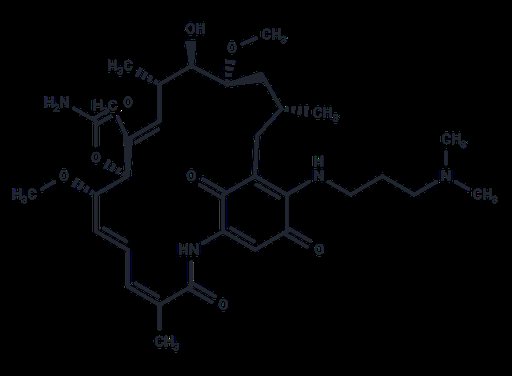 17-DMAP-GA