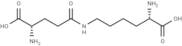 ε-(γ-glutamyl)-lysine