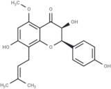 (2R)-3α,7,4'-Trihydroxy-5-methoxy-8-prenylflavanone