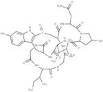 γ-Amanitin