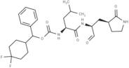 SARS-CoV-2-IN-10