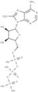 8-NH2-ATP