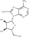 8-Aminoadenosine