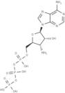 3'-Deoxy-3'-amino-ATP