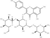 Kaempferol-3-O-(2''-O-β-D-glucopyl)-β-D-rutinoside