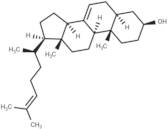 5α-Cholesta-7,24-dien-3β-ol