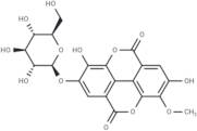 Stachyanthuside A