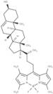 BODIPY-Cholesterol