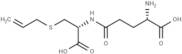 γ-Glutamyl-S-allylcysteine