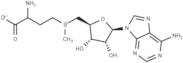 S-Adenosyl-DL-Methionine