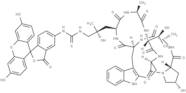 Phalloidin-FITC