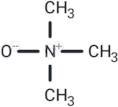 Trimethylamine N-oxide