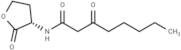 N-3-Oxo-octanoyl-L-homoserine lactone