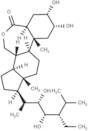 (22S,23S)-Homobrassinolide