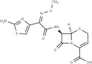 Ceftizoxime